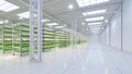 Hydroponic indoor vegetable plant factory in exhibition space warehouse. Interior of the farm hydroponics. Green salad farm.