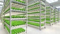 Hydroponic indoor vegetable plant factory in exhibition space warehouse. Interior of the farm hydroponics. Green salad farm.