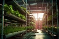 hydroponic nutrient tanks and pipes for efficient farming