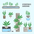 Hydroponic system, gardening technology. Collection of different plants in flat style. Royalty Free Stock Photo