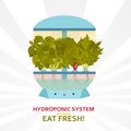 Hydroponic system for indoor gardening