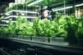 A hydroponic urban farm growing fresh produce indoors modern futurism background