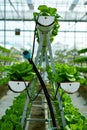 Hydroponic vertical farming systems