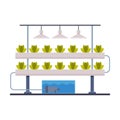 Hydroponics and Aeroponics Gardening System, Eco Friendly Organic Farming Technology with Plants Growing In Pots and