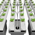 Hydroponic Growing System with Independent Water Tank