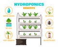 Hydroponics Benefits Concept Royalty Free Stock Photo