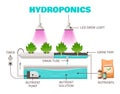 Hydroponics Farming Concept