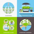 Hydroponics Flat Concept Royalty Free Stock Photo