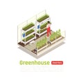 Hydroponics Greenhouse Isometric Composition