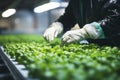 Hydroponics lab on spacecraft. scientists testing plants for future farming and agriculture research Royalty Free Stock Photo