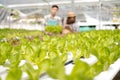Hydroponics, smiling young Asian couple farmers holding vegetable baskets, standing on a farm, growing organic, commercial organic