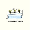 Hydroponics system. Vector illustration in outline style.