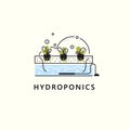 Hydroponics. Vector illustration in outline style. Home agriculture concept.