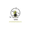 Hydroponics. Vector illustration of plant on water without soil.