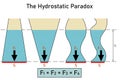 Hydrostatic paradox on four vessels with a liquid of different shape and volume Royalty Free Stock Photo