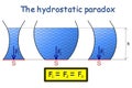 The hydrostatic paradox presented on three differently round containers with liquid