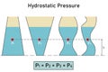 Hydrostatic pressure within different containers Royalty Free Stock Photo