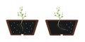 Hydrotropism - plant`s growth response in which the direction of growth is determined by a stimulus or gradient in water