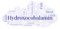 Hydroxocobalamin word cloud. Royalty Free Stock Photo