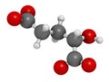 2-hydroxyglutarate molecule. 3D rendering. Atoms are represented as spheres with conventional color coding: hydrogen (white),