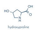 Hydroxyproline Hyp amino acid. Essential component of collagen. Skeletal formula.