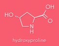 Hydroxyproline Hyp amino acid. Essential component of collagen. Skeletal formula.
