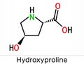 Hydroxyproline , Hyp, C5H9NO3 molecule. It is is a common proteinogenic amino acid and a major component of the protein collagen.