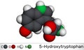 5-Hydroxytryptophan, 5-HTP, hydroxytryptophan, oxitriptan molecule. It is naturally occurring amino acid, tryptophan