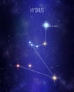 Hydrus the southern water snake constellation map on a starry space background. Stars relative sizes and color shades based on