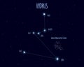 Hydrus constellation, vector illustration with basic stars