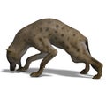 Hyena