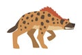 Hyena as Carnivore Mammal with Spotted Coat and Rounded Ears Attacking Vector Illustration