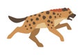 Hyena as Carnivore Mammal with Spotted Coat and Rounded Ears Running Vector Illustration
