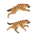 Hyena as Carnivore Mammal with Spotted Coat and Rounded Ears Running Vector Set