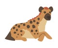 Hyena as Carnivore Mammal with Spotted Coat and Rounded Ears Sitting Vector Illustration