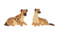 Hyena as Carnivore Mammal with Spotted Coat and Rounded Ears Sitting Vector Set