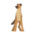 Hyena as Carnivore Mammal with Spotted Coat and Rounded Ears Standing Front View Vector Illustration