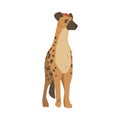 Hyena as Carnivore Mammal with Spotted Coat and Rounded Ears Standing Vector Illustration
