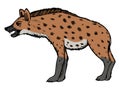 Hyena