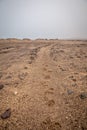 Hyena tracks in the sand, Skeleton Coast, Namibia.