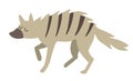 Hyena. Vector illustration, isolate