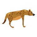 Hyena wild african animal, scavenger predator. Vector illustration cartoon style