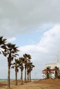 Hyeopjae Beach with palm tree in Jeju island, Korea Royalty Free Stock Photo