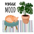 Hygge mood postcard. Cat on a stool in scandic stylish room interior. Home lagom decorations. Cozy season. Modern comfy apartment