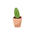 Hygge potted cactus plant. Cozy lagom scandinavian style succulent isolated image