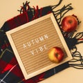 Hygge Style Autumn Flat Lay with Woolen Scarf Red Apples and Letter Board with Autumn Vibe Messsage Square Yellow Background