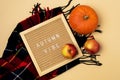 Hygge Style Autumn Flat Lay with Woolen Scarf Red Apples and Pumpkin and Letter Board with Autumn Vibe Messsage Horizontal