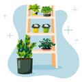 Hygge urban jungle, houseplants in the interior, vector illustration, shelf with green plants, houseplants shop