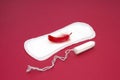 Hygiene concept photo, personal care. Red feather and tampon on menstrual woman pad for blood period. Menstruation pad, personal h