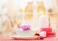 Hygiene kitchen cleanser Royalty Free Stock Photo